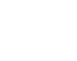 expertise.com best painters in rochester